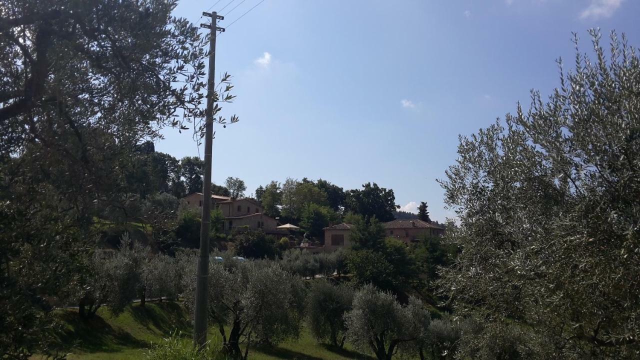 Agriturismo Casale Giulia Volterra Exterior foto